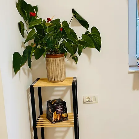 Appartement Magnolia