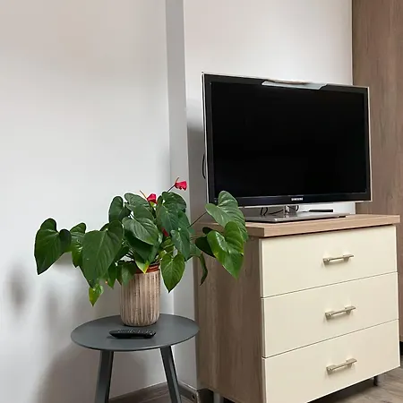 Magnolia Apartment *
