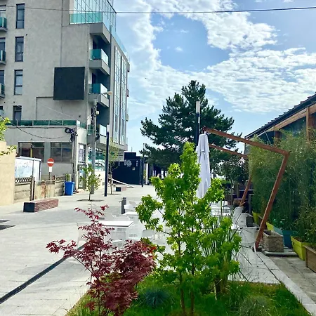 Magnolia 康斯坦察